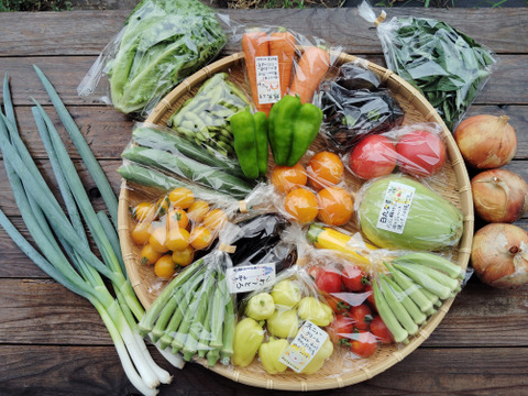 青森県十和田市産　天日干しにんにくも入ります　「おひさま便！野菜セット」