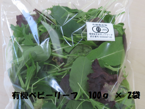 おまかせ葉物野菜（100ｇ×2）と有機JAS認証ベビーリーフ（200g） のセット