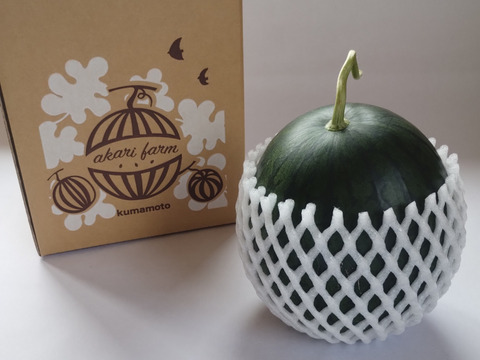 【化学肥料不使用】シャリっとジュワッと、小玉スイカひとりじめボンボンリッチ　１玉入り（約2.5㎏前後×１）