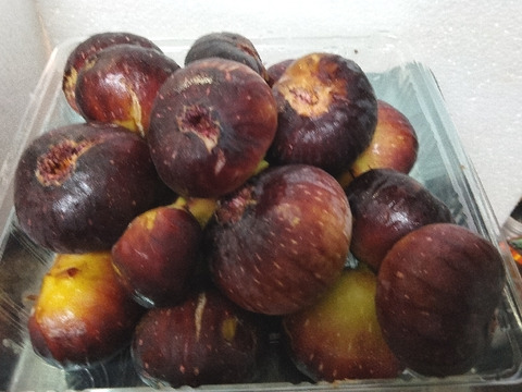 大容量パック　兵庫産 ご家庭用　イチジク　800ｇ