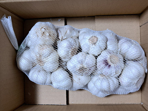 【数量限定Ｂ品】令和８年産　阿蘇・西原村産にんにく❗たっぷり1㎏箱セット❗阿蘇外輪山の豊富な地下水と豊かな自然環境で収穫した、濃厚な味わいのにんにくです(自然乾燥)