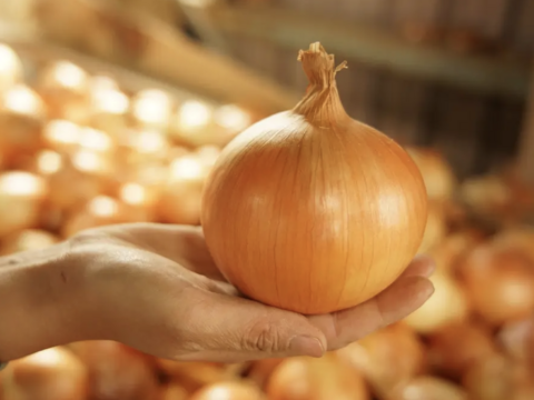 【手間いらず】整い蒸し野菜セット（7~8品目+季節の塩お試しサイズ付き）