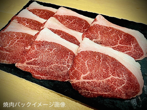 【ふるさと納税・定期便3ヶ月】🥩「とちぎ和牛」A5ランク黒毛和牛×3回＜栃木県那須塩原市＞