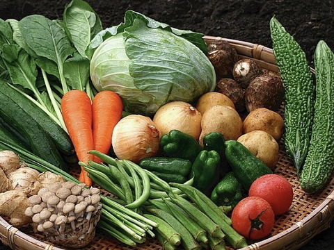 Sサイズ＊茨城県産旬野菜セット(約6〜7品目)