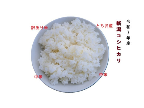 ✨【訳あり・数量限定】令和7年産 新潟・とちお産コシヒカリ 中米 精米10kg✨
（送料相当値引き中／箱込み総重量）