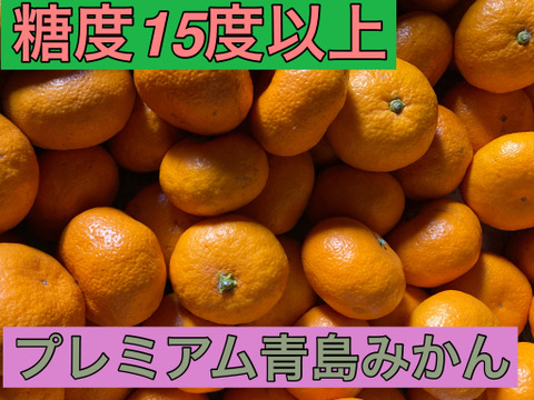 【食べ比べ・高糖度系晩生みかん】糖度１５度以上　今村・青島　5kg