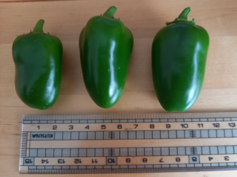 ハラペーニョ300g