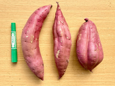 【値下げ】どすこいサイズ「紅はるか」 5キロ箱【訳あり】