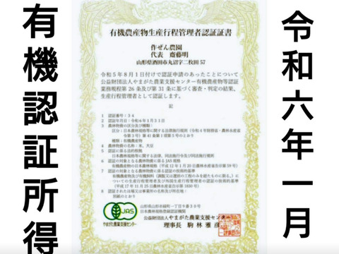 令和7年産予約 自然栽培米 ササニシキ 庄内米 玄米 5kg：山形県