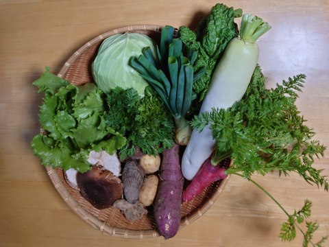 旬の野菜15種類詰め合わせセット