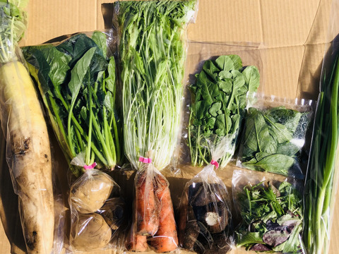 【初回限定BOX】有機JAS!オーガニック野菜セット