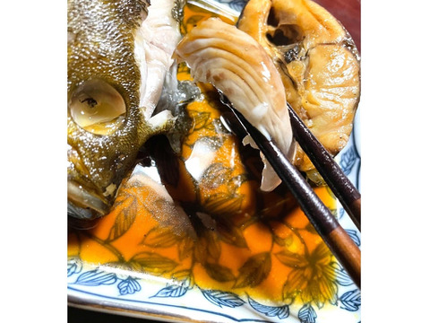 日間賀島漁師直送 天然イサキ2匹 1k 刺身 干物 煮付け 塩焼き 一度食べたら間違いなく病みつき 味は保証します 愛知県産の魚介類 食べチョク 産地直送 産直 お取り寄せ通販 農家 漁師から旬の食材を直送