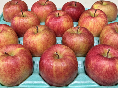 まさゆめ🍎家庭用約4.5Kg　在庫限り　ふじの子供　希少品種　新品種　果汁たっぷり　流行の先取り　青森県産　数量限定