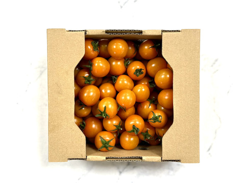 【ファイトリッチ】オレンジ千果ミニトマト1kg：ギフトメッセージ対応