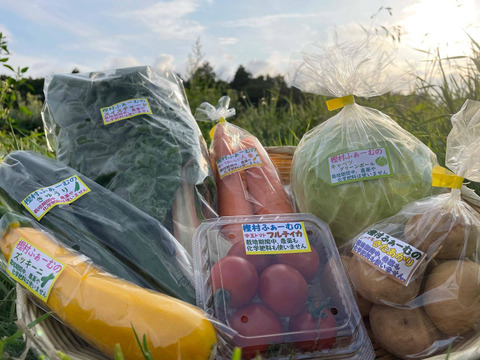 【栽培期間中農薬・化学肥料不使用】 樫村ふぁーむの旬の野菜BOX (Mサイズ6~8品目)