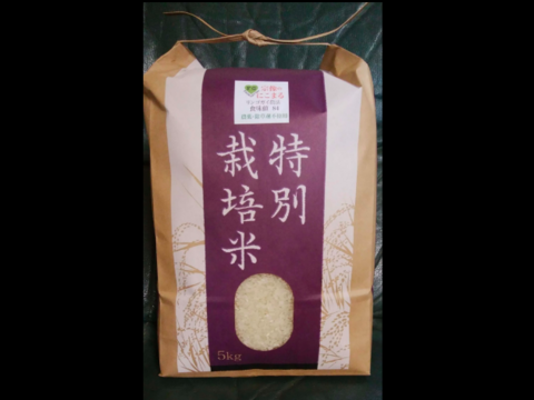 食べると笑顔になる!にこまる 精米5kg