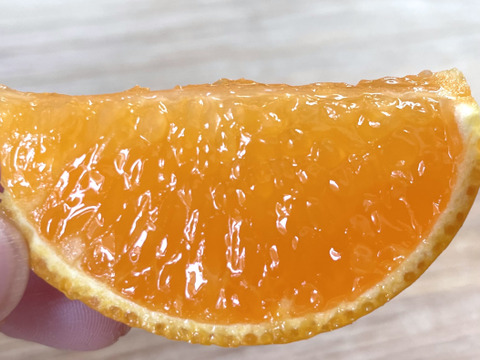 希少品種！愛媛県産『やみつきプリンセス』（ご家庭用・3kg）