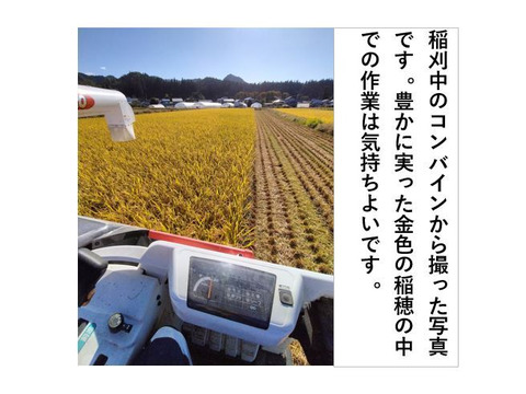 新米〈玄米〉約10kg 秋田のあきたこまち 【令和7年産】【冬ギフト】