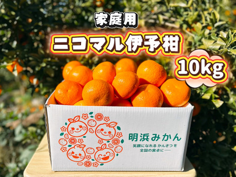 🍊香り推し🍊伊予柑　家庭用 10kg