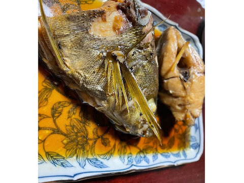 日間賀島漁師直送 天然イサキ2匹 1k 刺身 干物 煮付け 塩焼き 一度食べたら間違いなく病みつき 味は保証します 愛知県産の魚介類 食べチョク 産地直送 産直 お取り寄せ通販 農家 漁師から旬の食材を直送