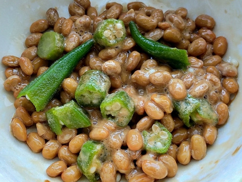 飯島農園の大長五角オクラ ビッグフィンガー 1kg