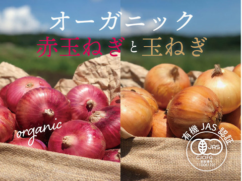 オーガニック赤玉ねぎと玉ねぎのセット【有機JAS認証】