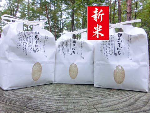 長野県【新米】1kg×6種類「食べ比べセット」【令和3年産】 食べ比べ お米