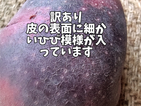 【冷蔵クール便】◆訳あり◆デストロイヤー＆タワラマゼラン 食べ比べセット 計1.5㎏(8-18個程度) 掘りたて土付き新じゃが