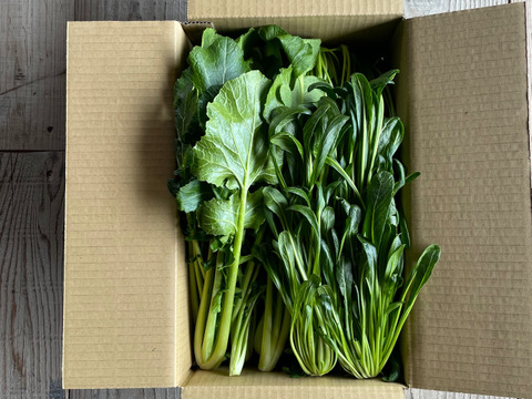 🌿京野菜食べ比べセット🌿【有機JAS畑菜&壬生菜各750g合計1.5kg‼️】市場には出回らないけど美味！京都人オススメの、畑菜‼️水菜とは違う濃厚な旨味、壬生菜‼️一度で嬉しい食べ比べセット