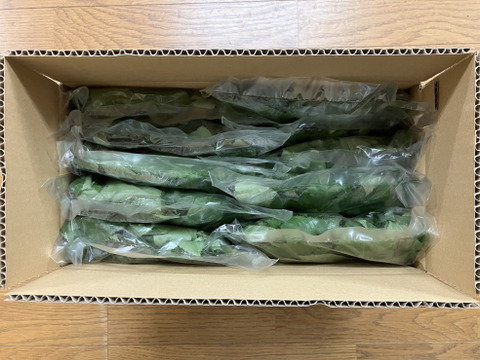 【もうすぐ収穫】丸ごと食べる！初穫れモロヘイヤ（100g×8袋）