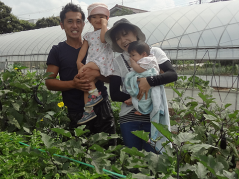 【ふるさと納税・定期便6ヶ月】Lサイズ ＊旬野菜セット(約10~11品)×6回【農薬：栽培期間中不使用】 ＜千葉県我孫子市＞