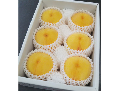 強い甘みと食欲をそそる鮮やかな色合いの「黄金桃」（ご家庭用・２kg）