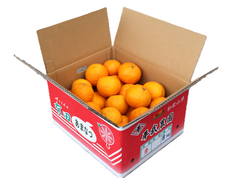 農家直送！甘夏あまなつ　訳あり8kg  【平武農園】〜蛍飛ぶ町から旬の便り〜　和歌山｜有田｜田口｜ギフト