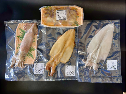 イカ４種☆豪華食べ比べセット