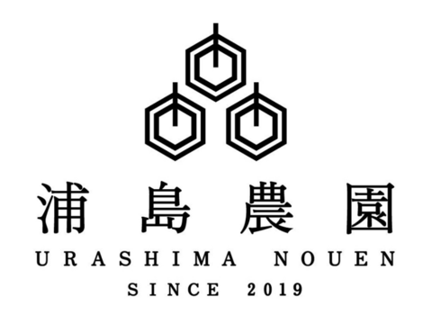 ゼリー食感！愛媛の乙姫！　まどんな　秀優品込み　1.5kg