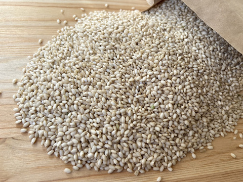 農薬化学肥料不使用・『たきたて』冷めてもモチモチ玄米5kg 令和７年産　信州佐久穂町　うるち米