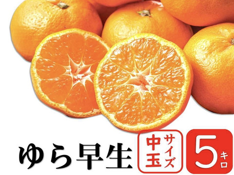 果汁たっぷり、この味衝撃！　ゆら早生　由良　【中玉　5kg】
