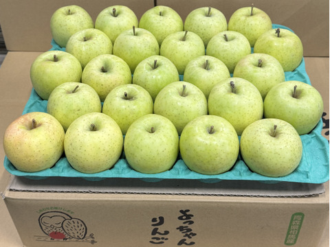 【小玉】「人気急上昇!! 」王林🍏家庭用約4.5Kg🍏青森県産　数量限定