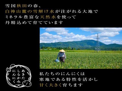 【超！お得セール！！】フルーティな甘み　あきたしらかみ黒にんにく　100ｇ×5袋