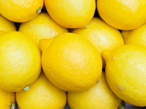 はじける香り！安心の国産レモン『西浦れもん』2kg 【防腐剤・ワックス不使用】仲屋 海瀬農園