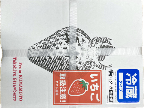 🥇いちごグランプリ金賞受賞！希少品種！『肥後こまち』ご家庭用パック 250g×2p