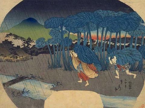 天然山菜　秋田フキ約1000g（予約販売）世界遺産白神山地付近産