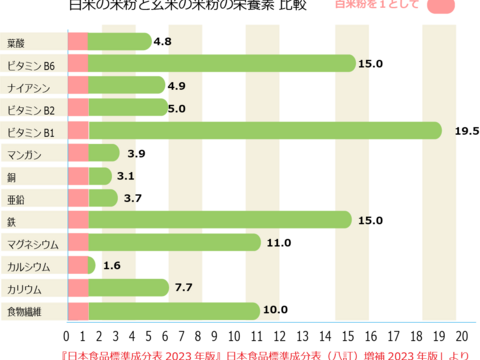 ミズホチカラ パン用 玄米粉 900g 2025年 新米の米粉 国産 グルテンフリー ほのかに甘みのある寒冷地栽培 岡山の雪国 ひるぜん高原産