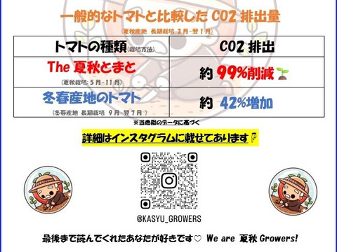 おいしさと環境配慮のハーモニ―『The夏秋とまと』(秋/青-ピンク/A品/2.5キロ前後)