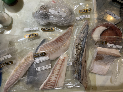 お刺身、焼き魚豪華おまかせBOX松12袋