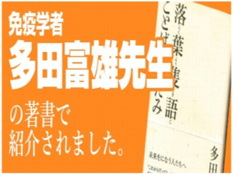 幻の黒にんにく【約２～３週間分】「毎日、健康のために食べるものだから安心・安全なものを！」３袋