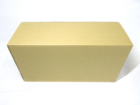 【超希少品種】果肉まで赤～いりんご『栄紅』超かわいいサイズちょっとB品18個(約2kg)