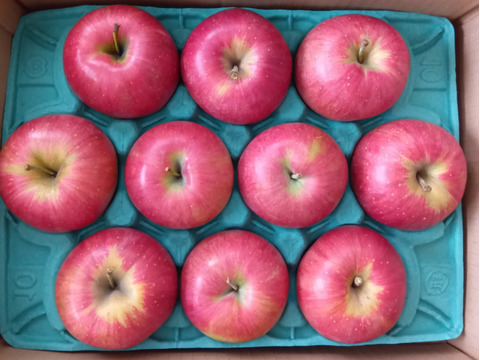 【甘いりんご解禁です🍎】 シナノスイート 3キロ箱 6玉〜15玉サイズ ID42539  甘い 長野県 信州 安曇野 リンゴ 幻 幻のリンゴ 予約 希少 旬