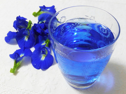 8月限定 透き通る天然の青 バタフライピー入り夏野菜セット 農薬 栽培期間中不使用 千葉県産 食べチョク 農家 漁師の産直ネット通販 旬の食材を生産者直送
