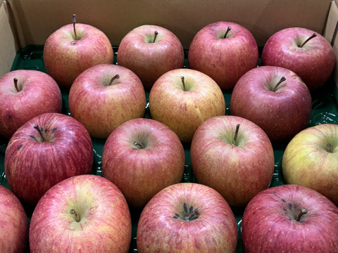 【大玉🍎】葉とらずサンふじ🍎訳あり５Kg　青森県産